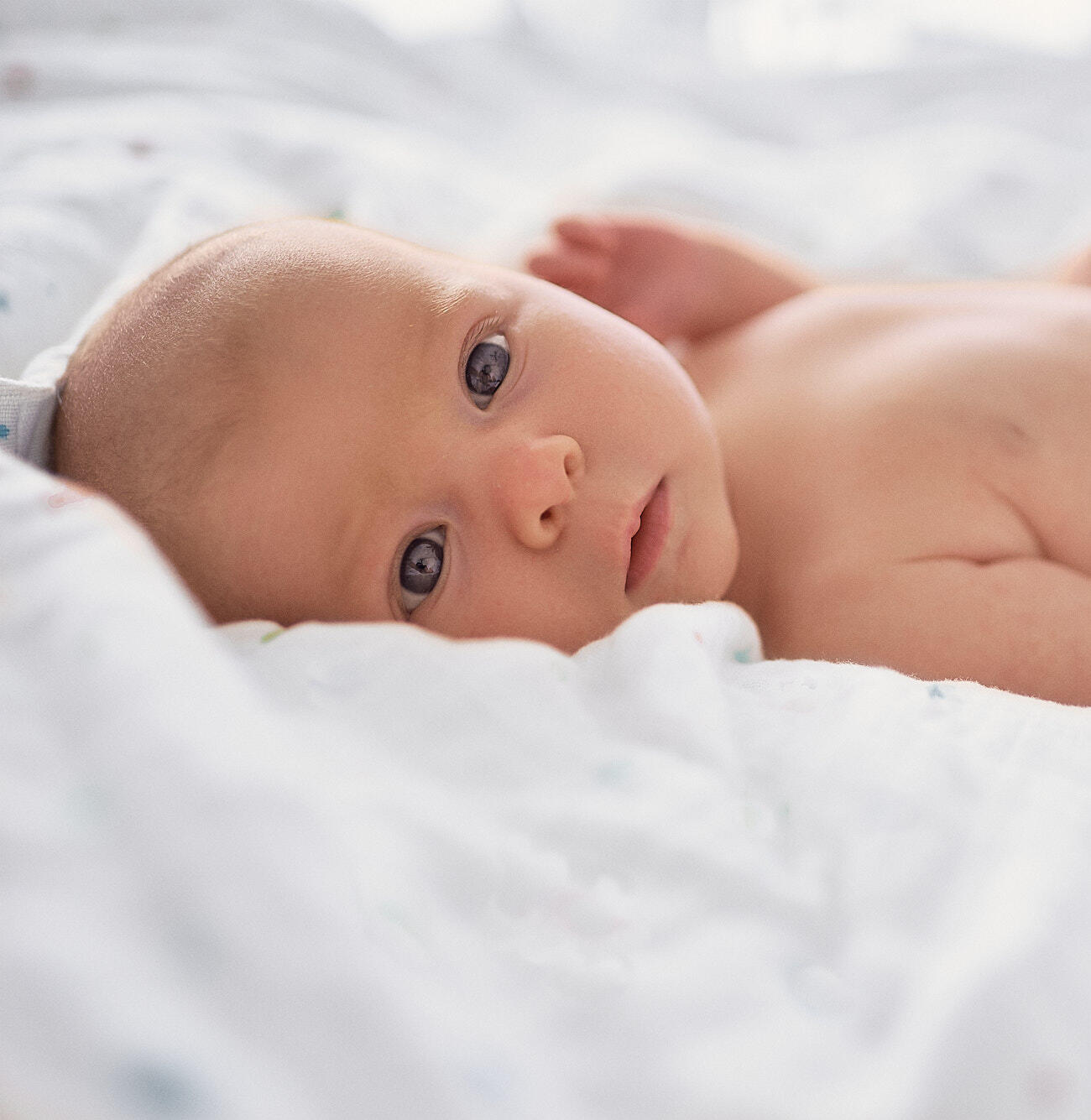 minifotoart minifotoart