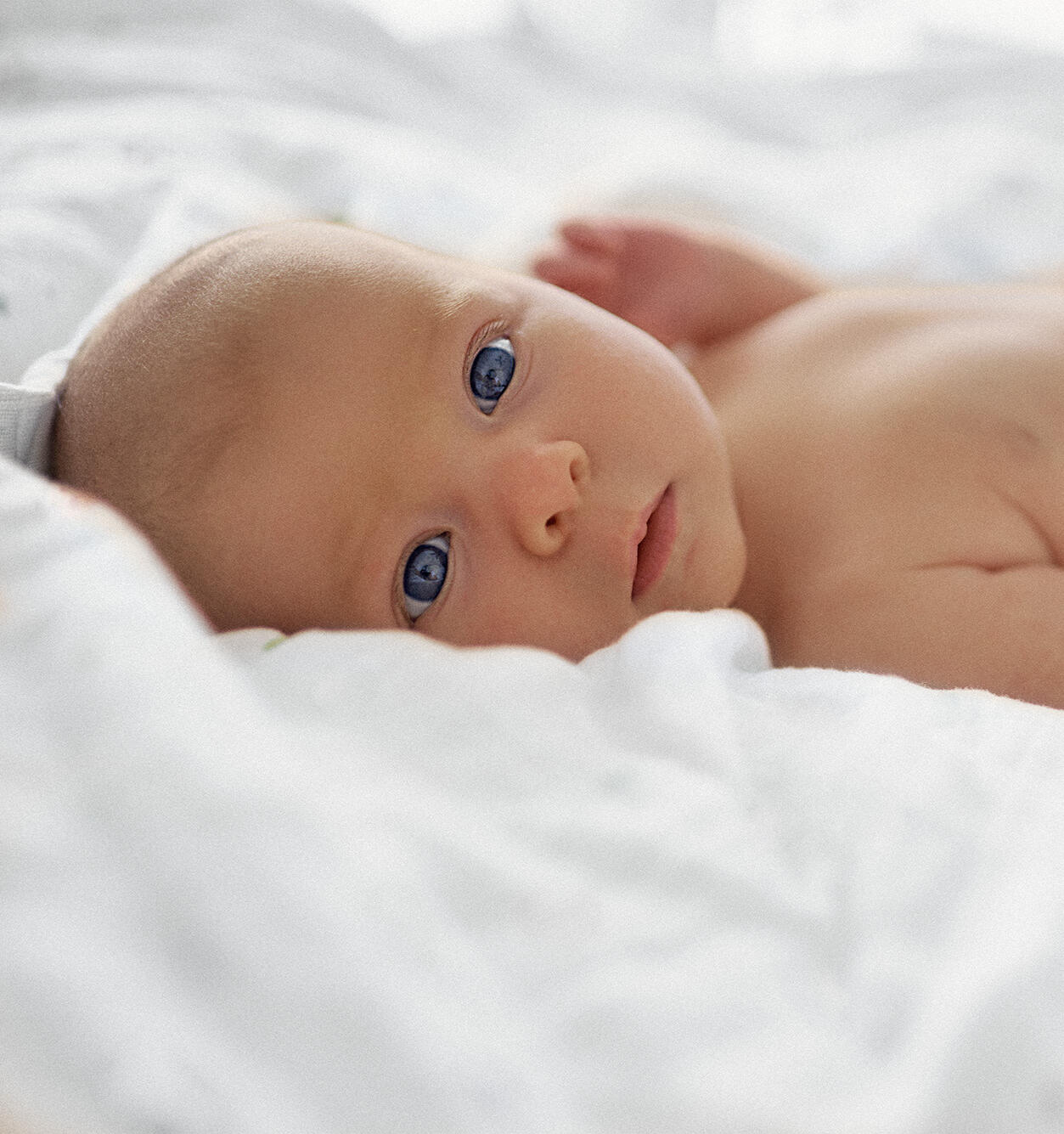 minifotoart minifotoart